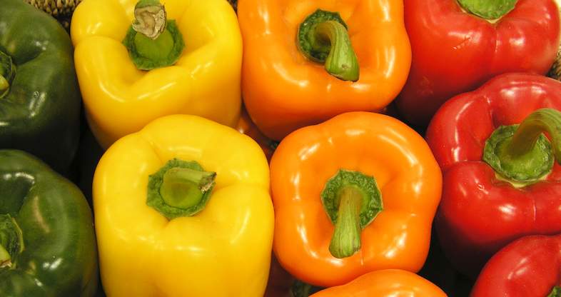 Sweet Pepper - Crop Management - Cultivars