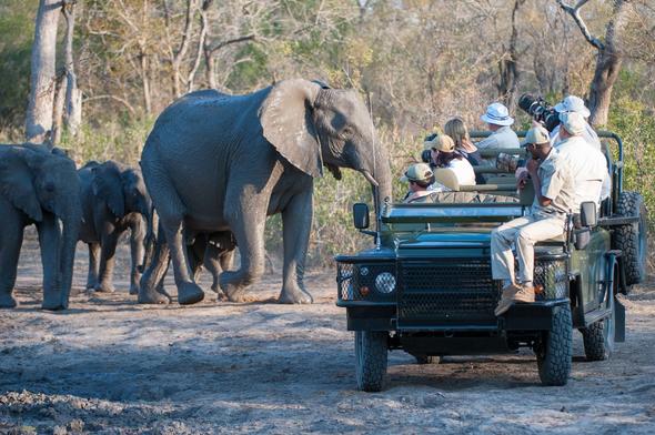 Thula Thula Private Game Reserve Accommodation - South Africa