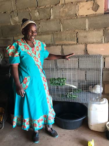 Cleaning Equipment for Rabbit Farmers - South Africa