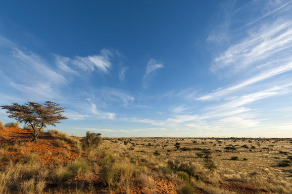 Pofadder, Northern Cape, South Africa