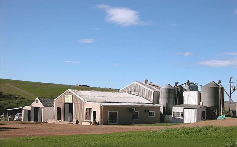 Stone Ground Flour - Field Crops in South Africa