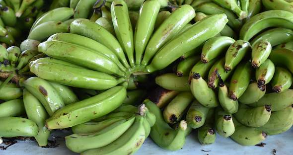 Bananas - Fruit Farming in South Africa