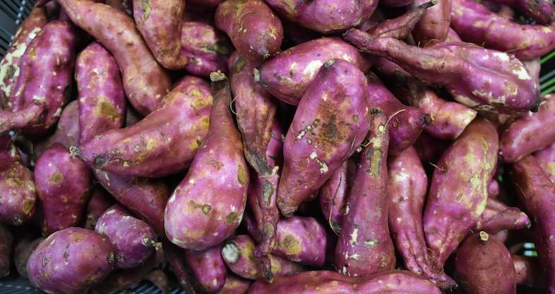 Sweet Potato Vegetable Farming In South Africa