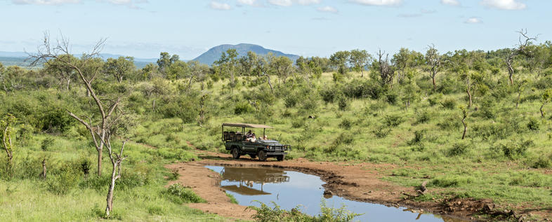 Unforgettable Journey - Madikwe - Activities