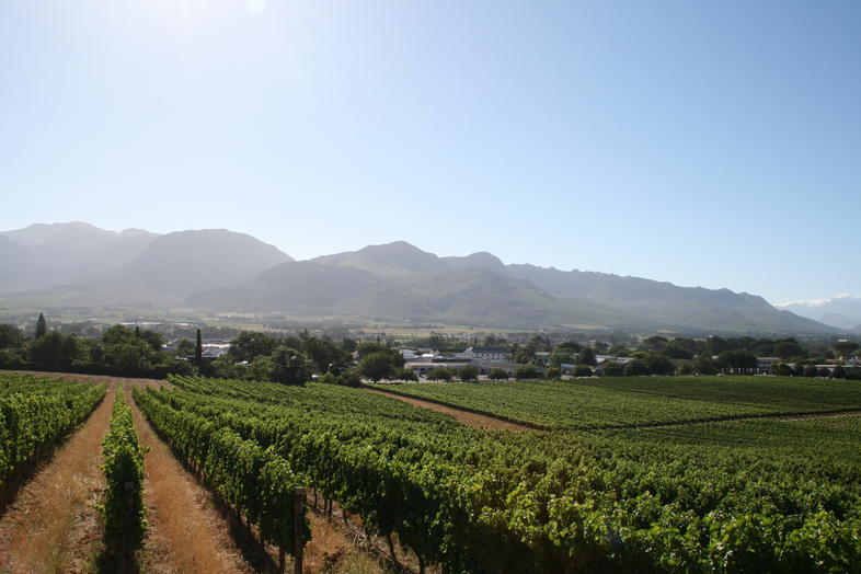 Paarl, Cape Winelands, Western Cape, South Africa