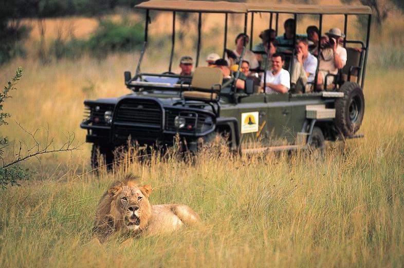 Country Living - Dinokeng Game Reserve - Activities